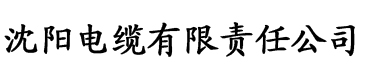 网站影院电缆厂logo